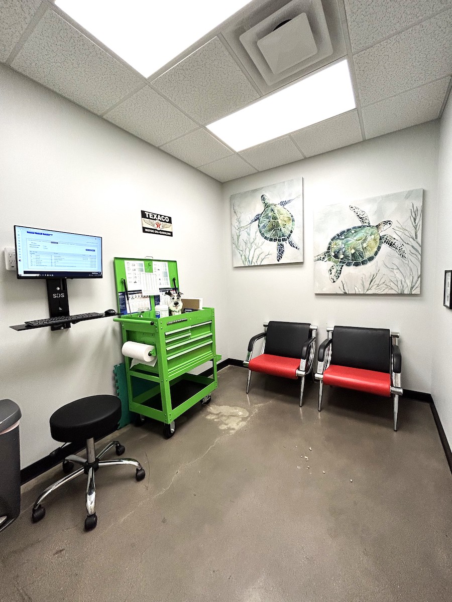 Exam room with turtle artwork on the walls