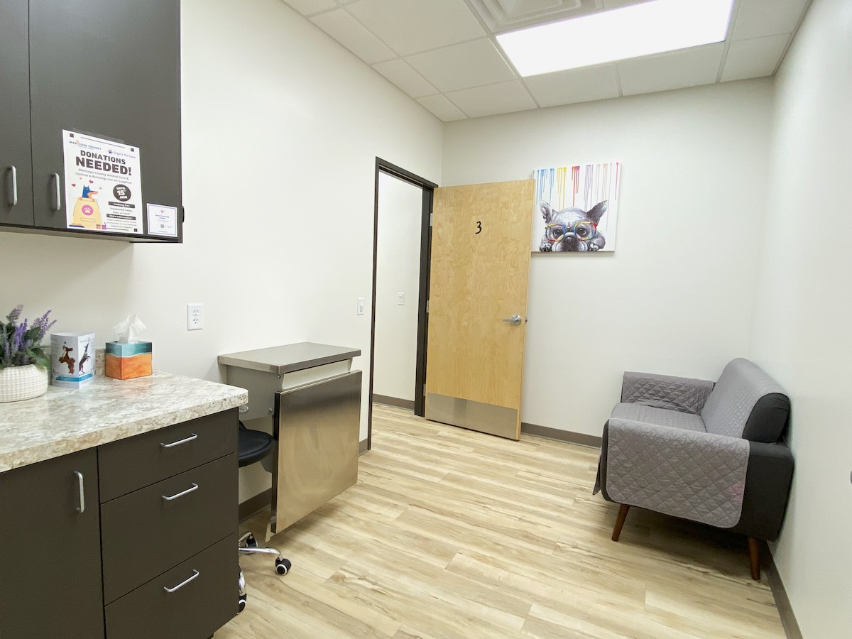 Veterinary exam room with chair