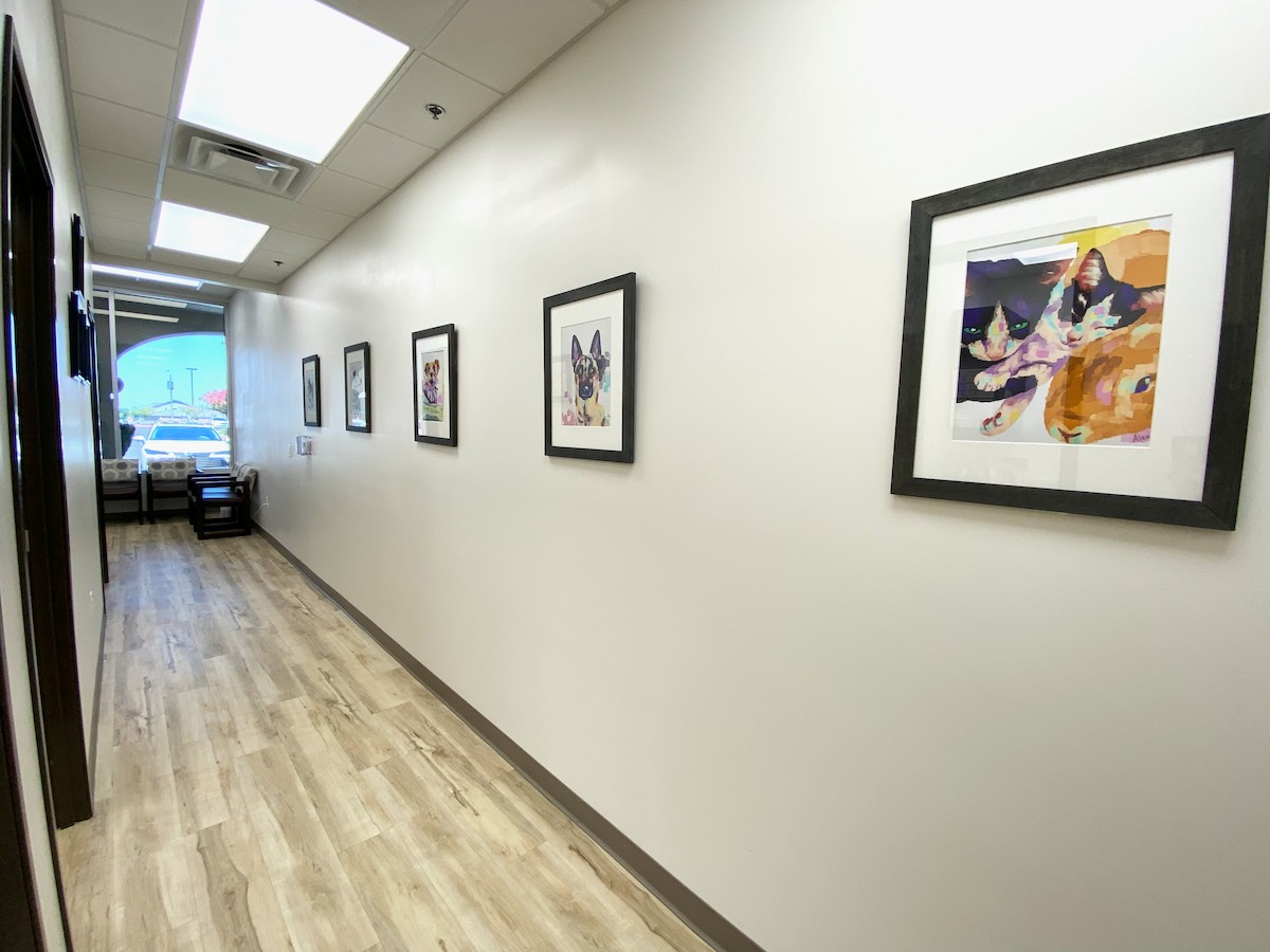 Hallway with multiple colorful pet portraits