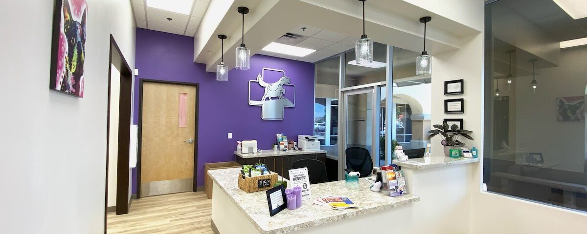 Reception desk with purple wall
